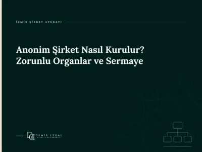 Anonim Şirket Nasıl Kurulur? Zorunlu Organlar ve Sermaye