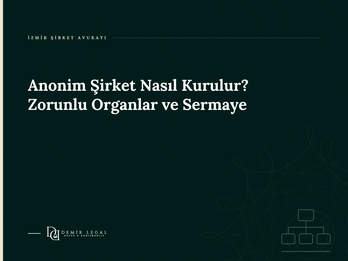 Anonim Şirket Nasıl Kurulur? Zorunlu Organlar ve Sermaye