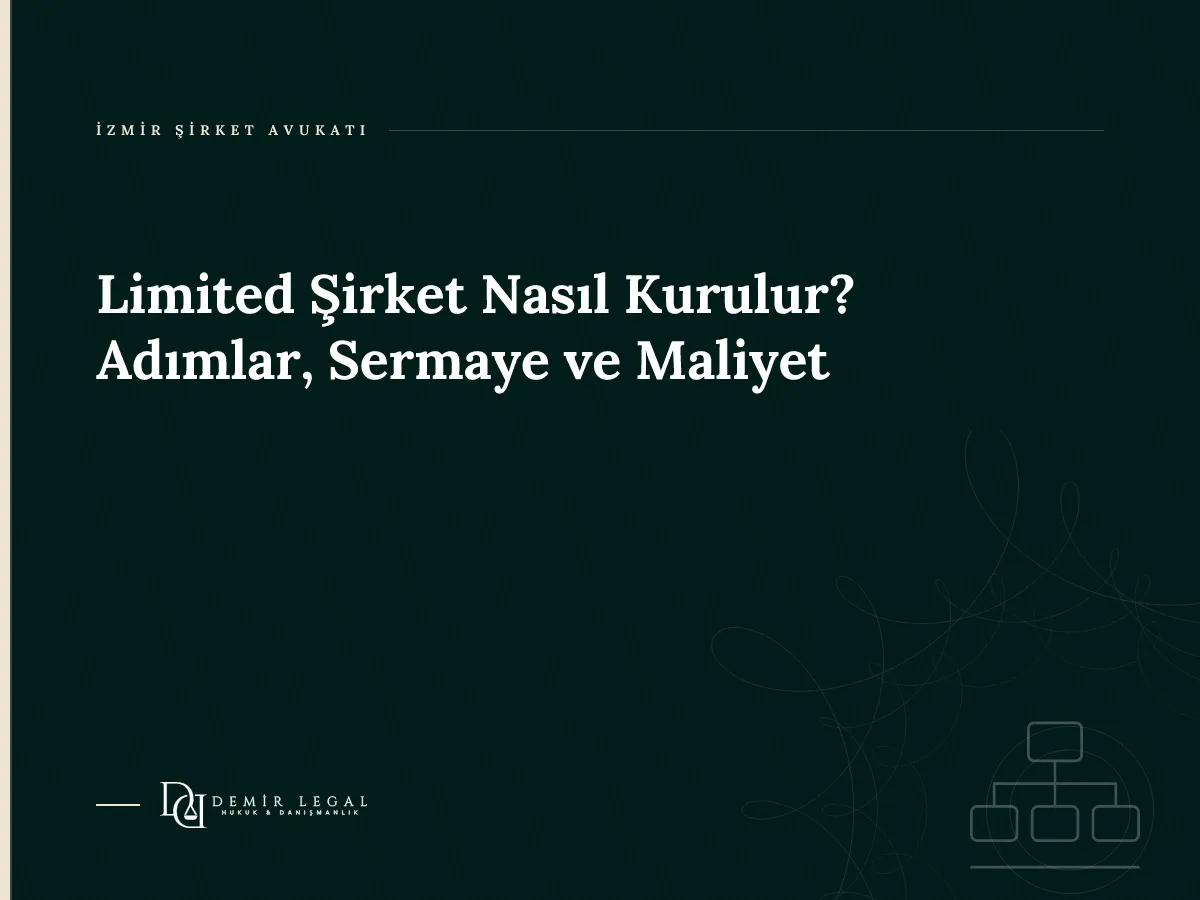 Limited Şirket Nasıl Kurulur? Adımlar, Sermaye ve Maliyet